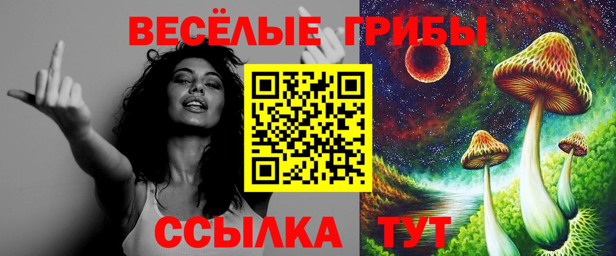 Псилоцибиновые грибы Cubensis Минеральные Воды