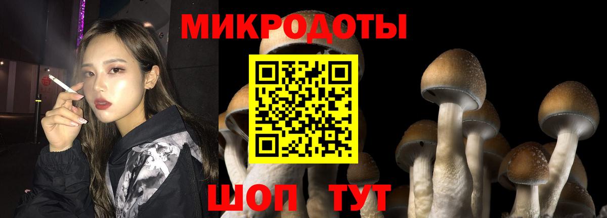 Минеральные Воды  продажа наркотиков  Псилоцибиновые грибы GOLDEN TEACHER  Вход с VPN  Псилоцибиновые грибы мухоморы 