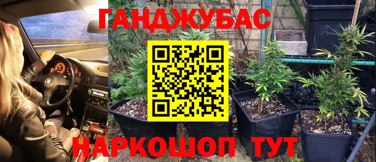 Минеральные Воды  Канабис сатива  Вход с VPN  Канабис ГИДРОПОН  Канабис LSD WEED 